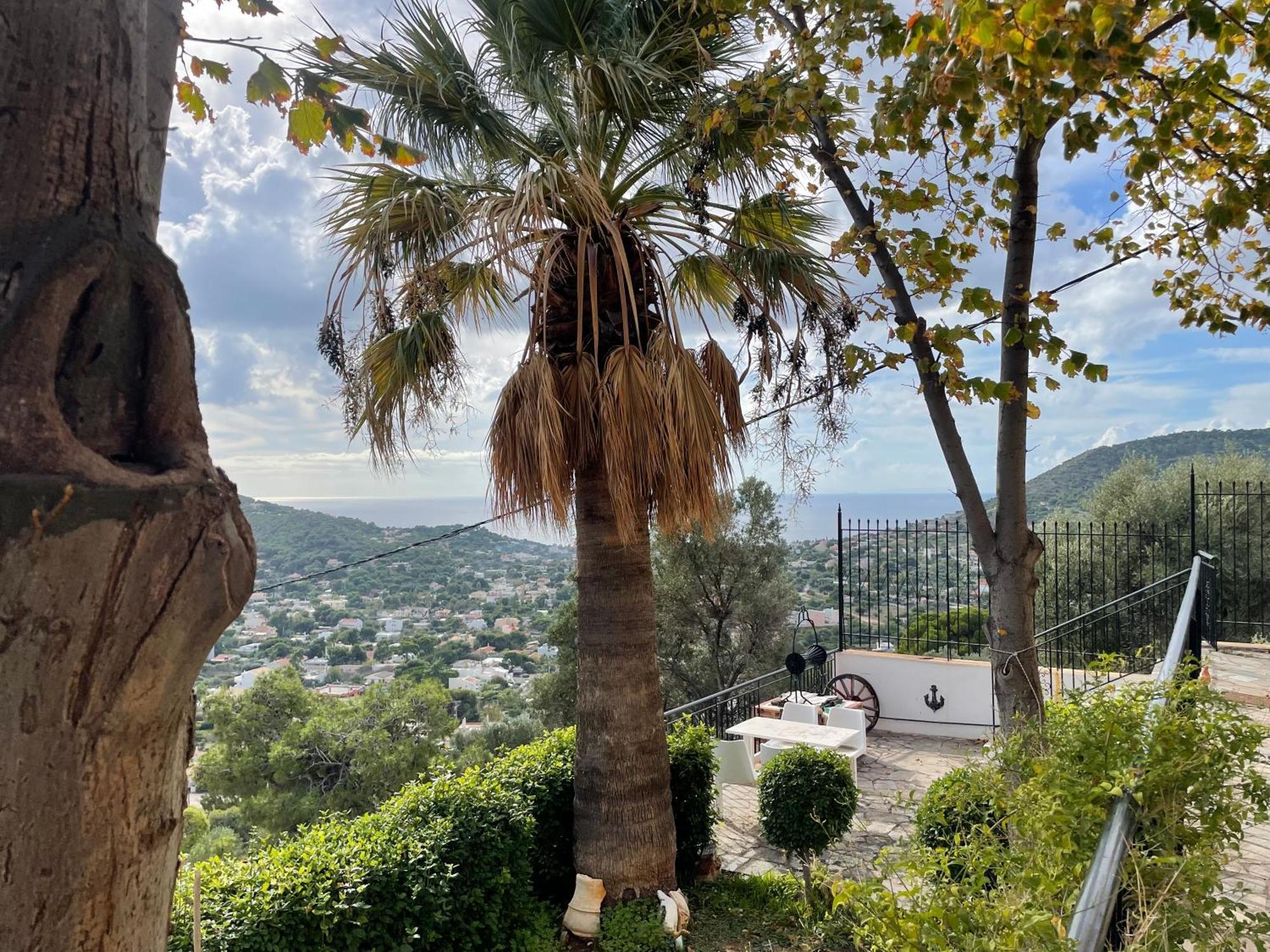 Eagles Nest Villa Athenian Riviera In Aghia Marina Near Lagonisi, Next To The Beach Close To Athens Airport Agia Marina  Exterior foto